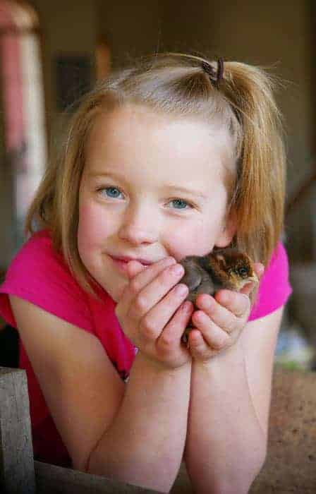 Audrey and baby chick