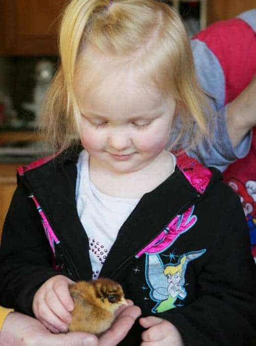 Olivia and baby chick