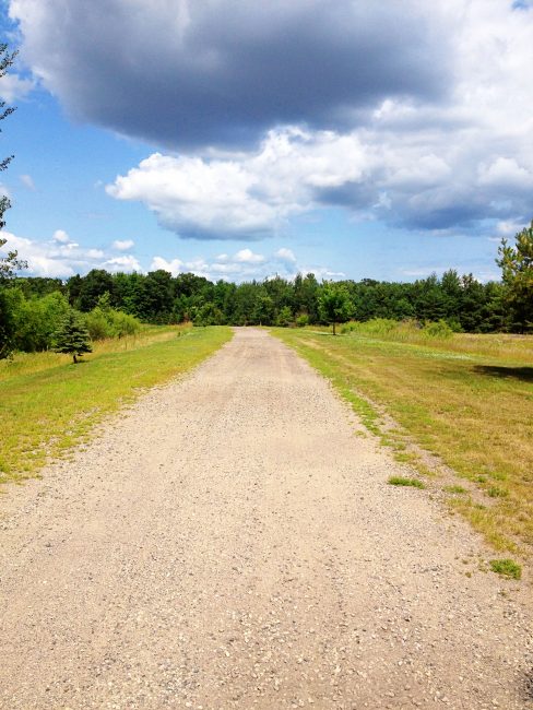 Our driveway