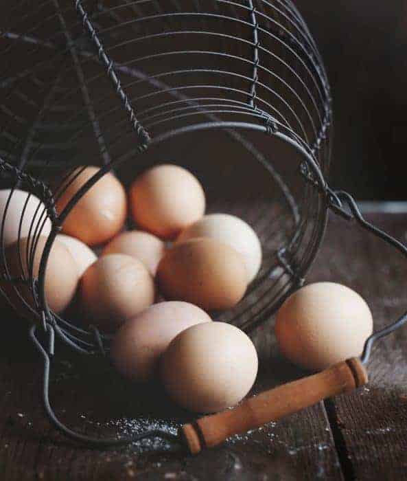 Fresh Eggs