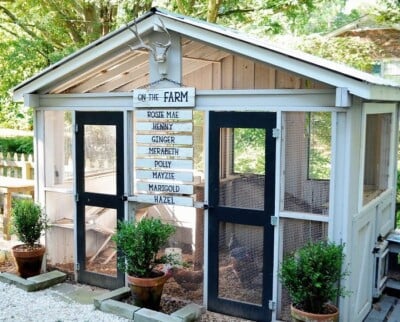 Amazing Chicken Coops - I Am Homesteader