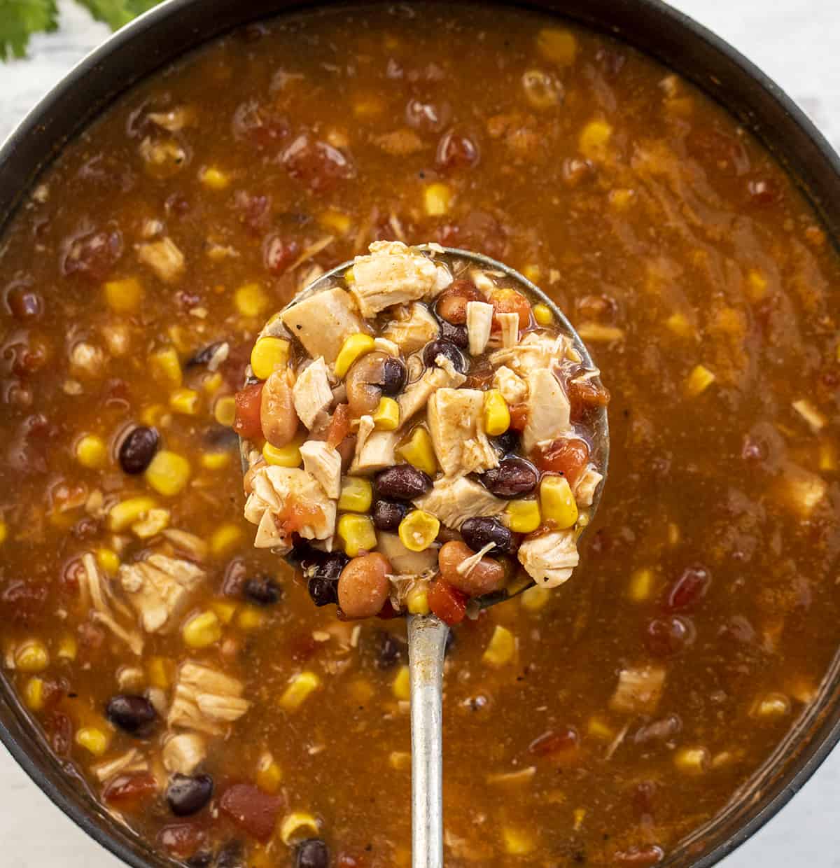 Ladle Above Pan Filled with 7 Can Chicken Taco Soup. Soup, Summer Soups, Easy Soups, Cheap Soup Recipes, Simple Soups, Chicken Taco Soup, Mexican Soup, Appetizer, Tortilla Chips, Thick Soups, Dinner, Chicken Recipes, recipes, i am homesteader, iamhomesteader