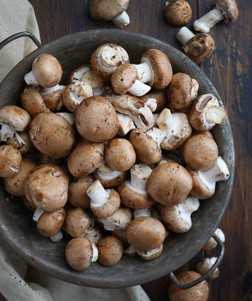 The Perfect Mushroom for Stuffed Mushrooms