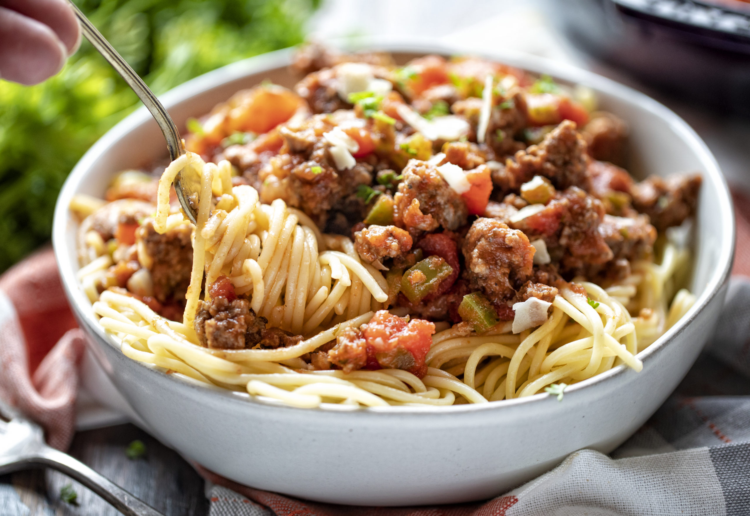 Spaghetti and Meat Sauce Recipe