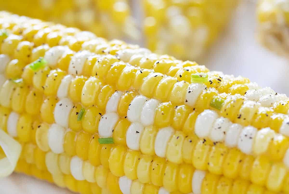 The Perfect Close Up of Grilled, Seasoned Corn on the Cob