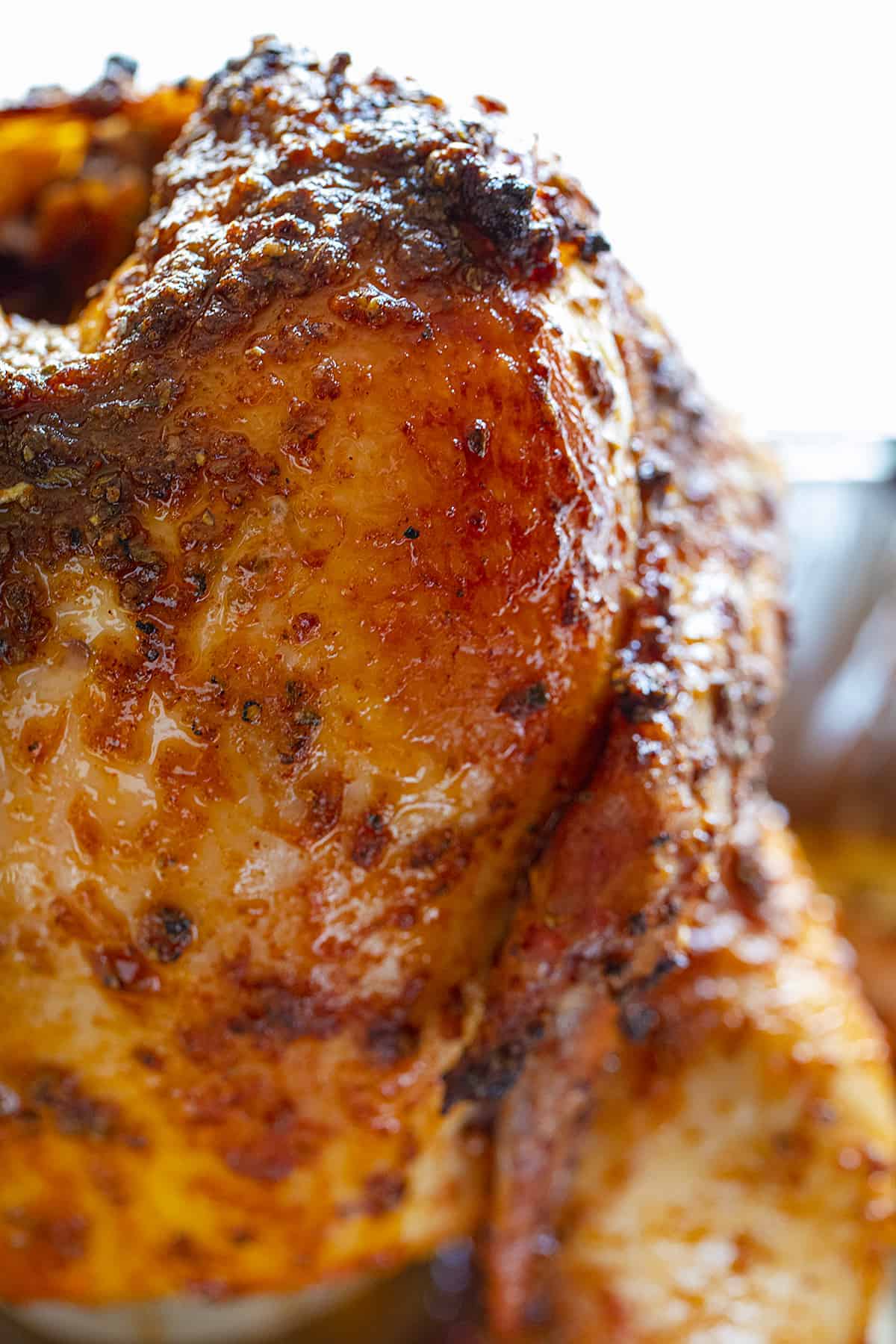 Close Up of Cooked Beer Can Chicken