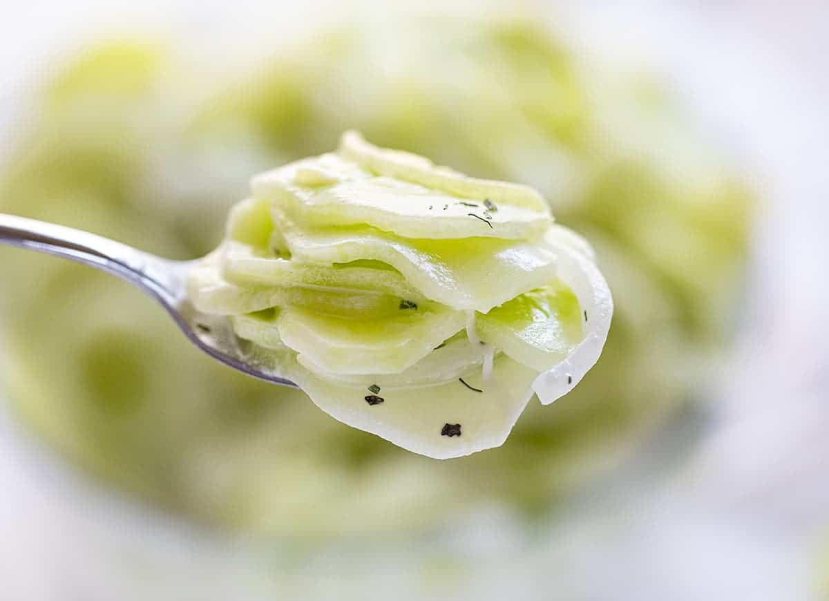 Spoonful of Cucumber Salad