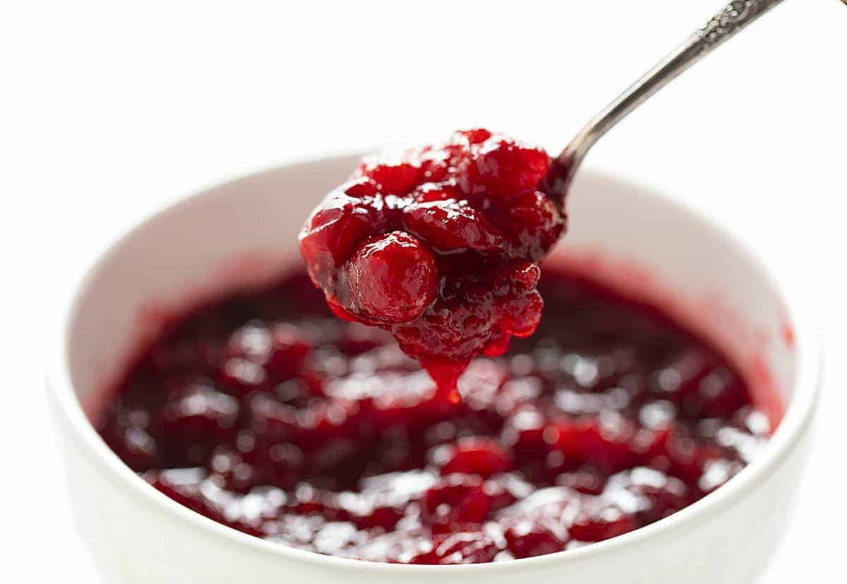Spoonful of Homemade Cranberry Sauce 