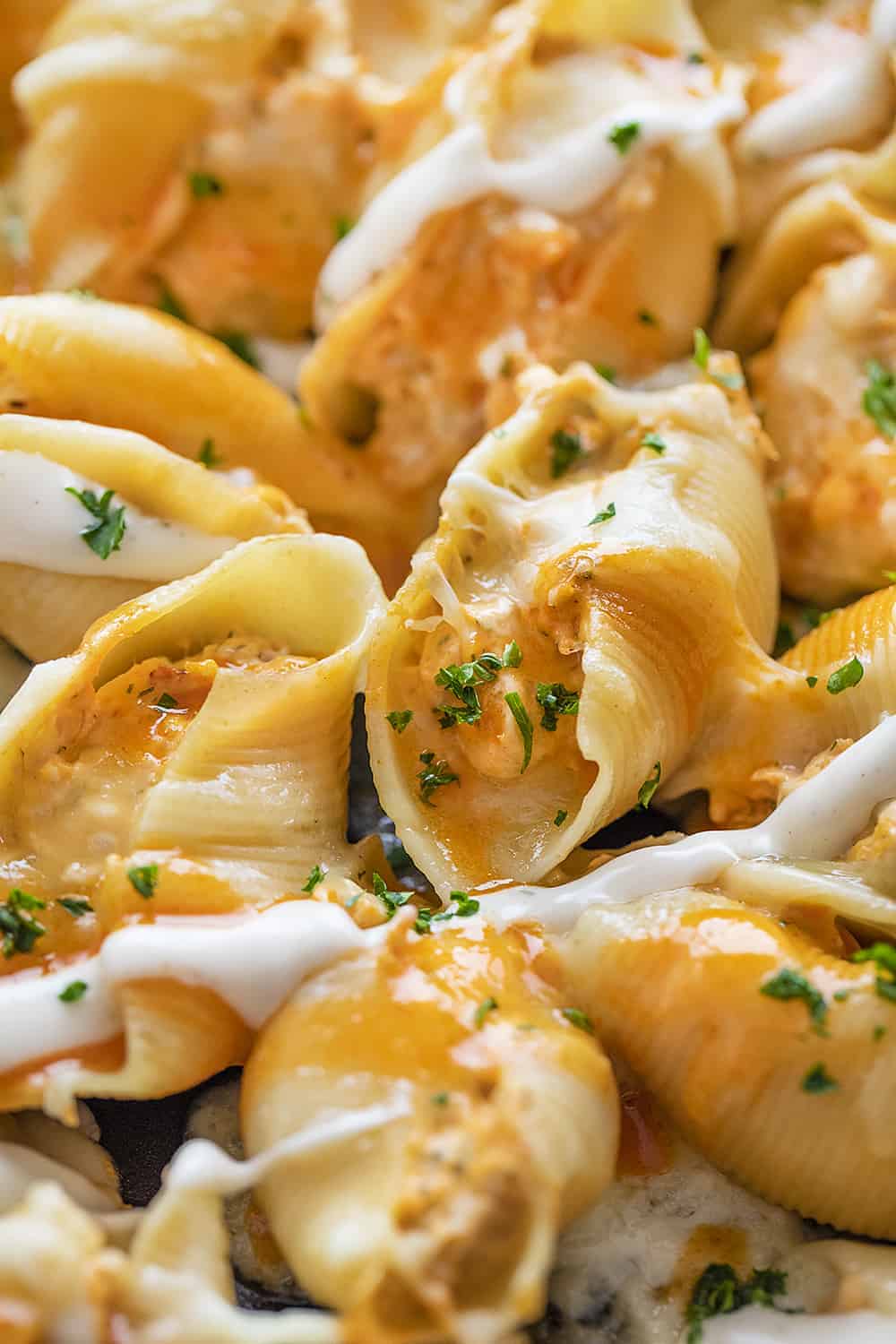 Buffalo Chicken Stuffed Shells Drizzled with Ranch and Hot Sauce