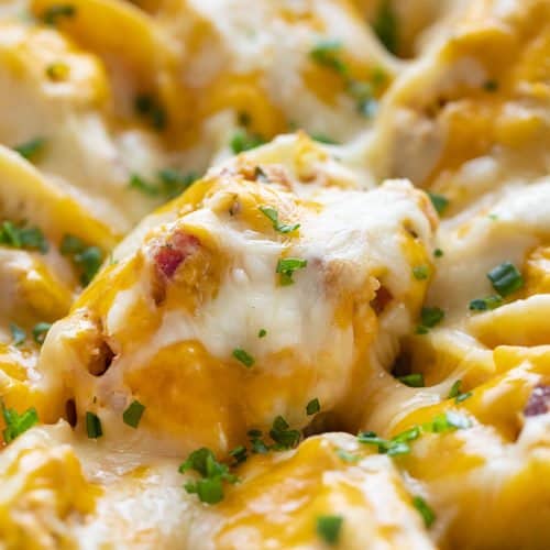 Cheesy Chicken Stuffed Shells • Bread Booze Bacon