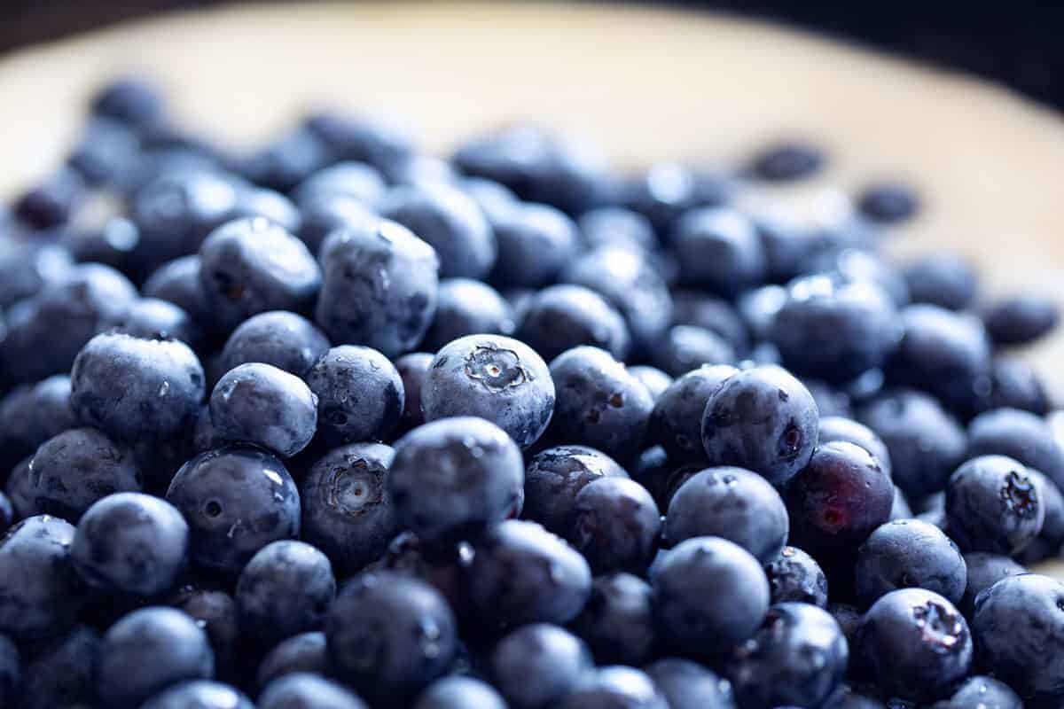 Fresh Blueberry Cobbler