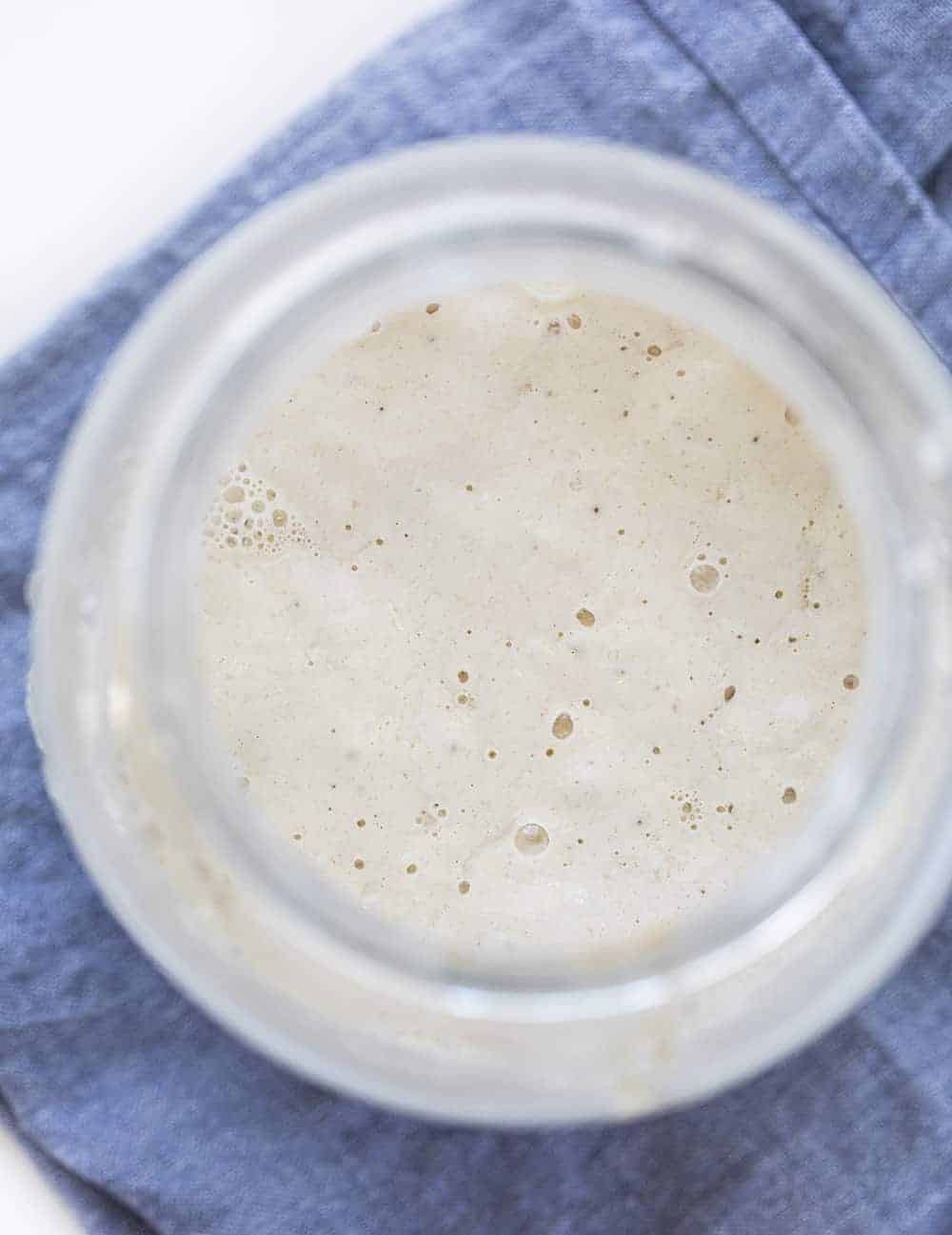 Overhead view of the bubbles in a sourdough starter