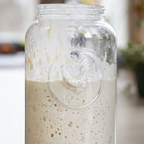 Dehydrated Sourdough Starter made with Organic Flour