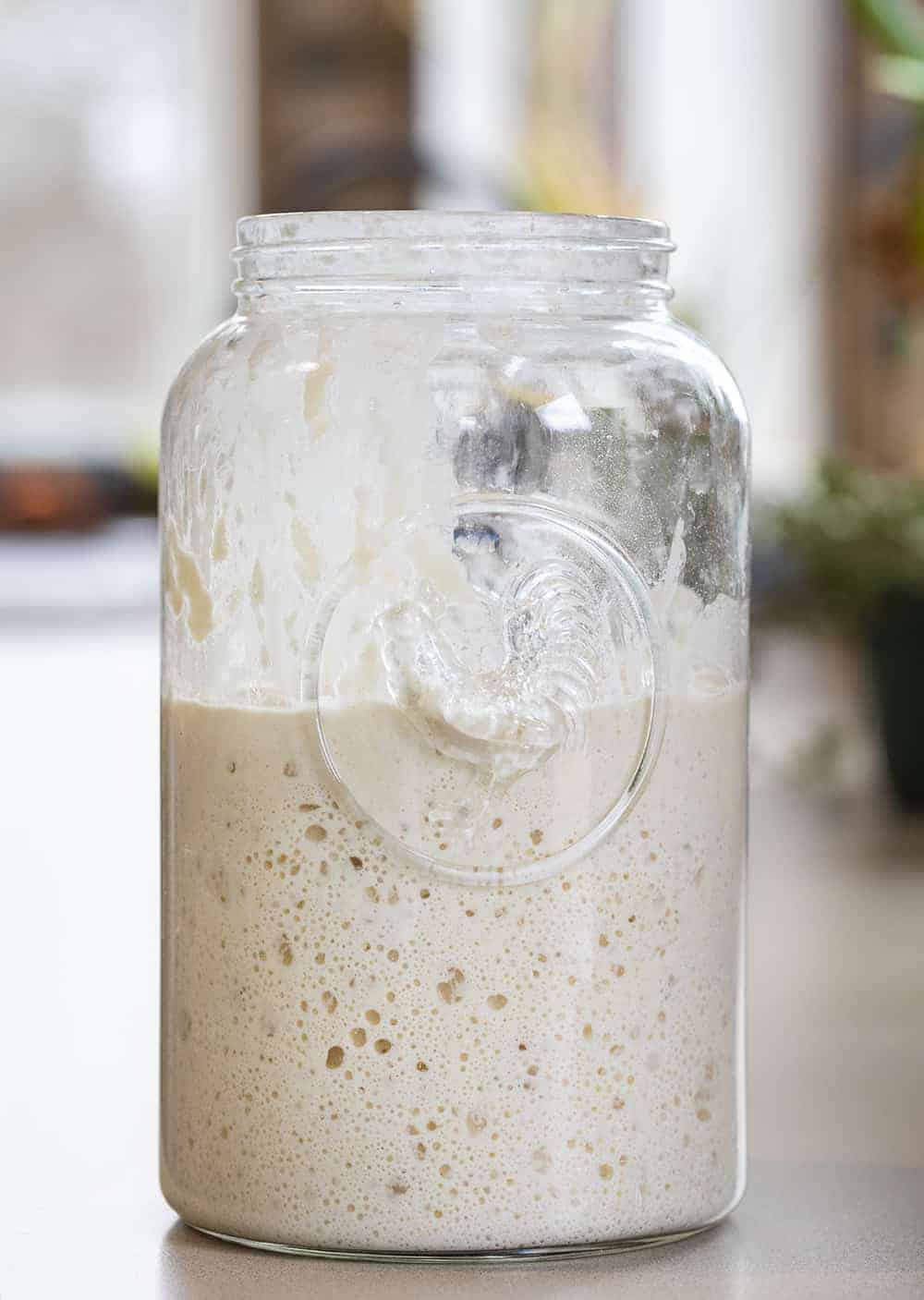 Sourdough Starter in Tall Jar with Bubbles