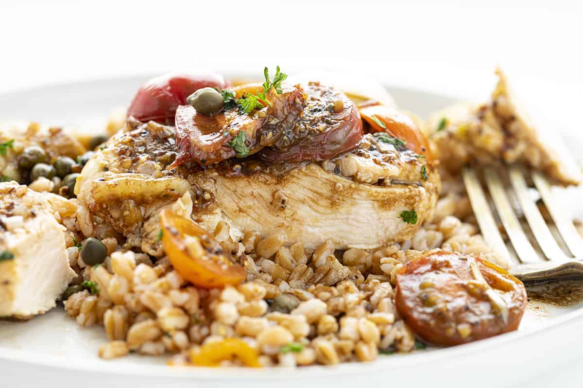 Close Up Piece of Tuscan Chicken on Faro on a White Plate with Fork