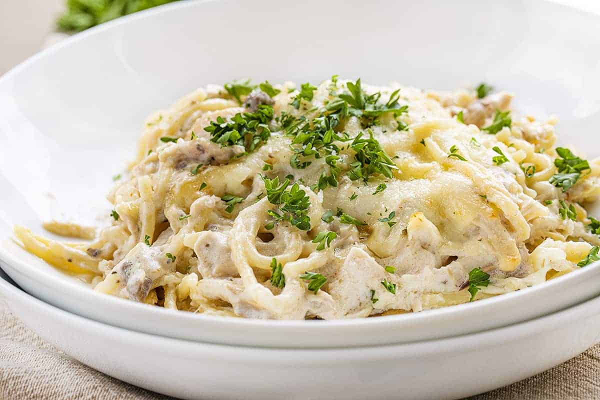 Bowl of Chicken Tetrazzini with Creamy Noodles and Parsley on Top