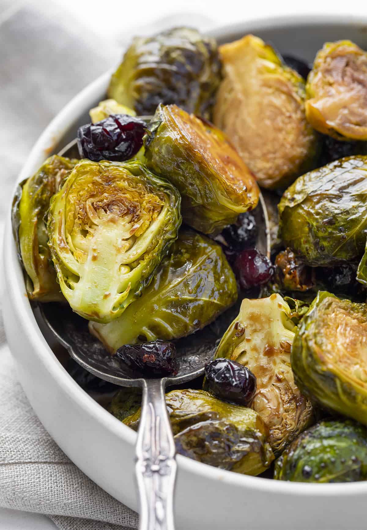 Bowl with a Spoonful of Balsamic Cranberry Roasted Brussels Sprouts