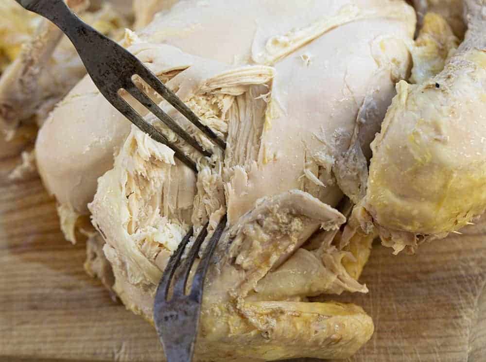 Shredding Chicken for Old Fashioned Chicken and Dumplings 