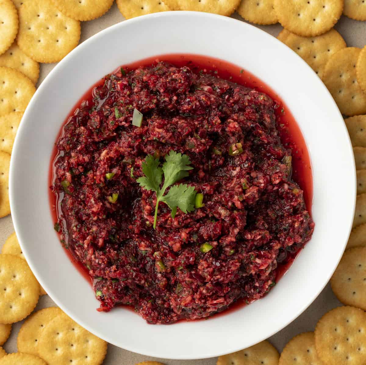 Bowl of Cranberry Salsa with Crackers Around