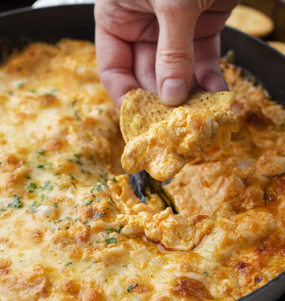 Buffalo Crab Dip I Am Homesteader