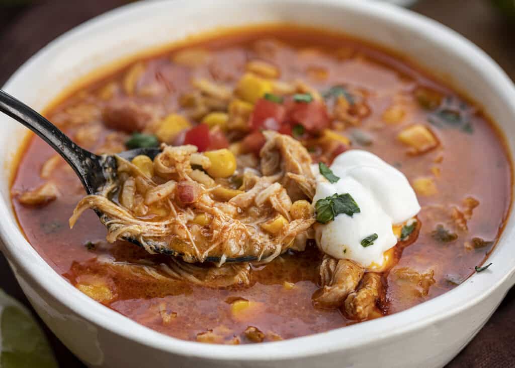 Spicy Chipotle Chicken Soup - I Am Homesteader