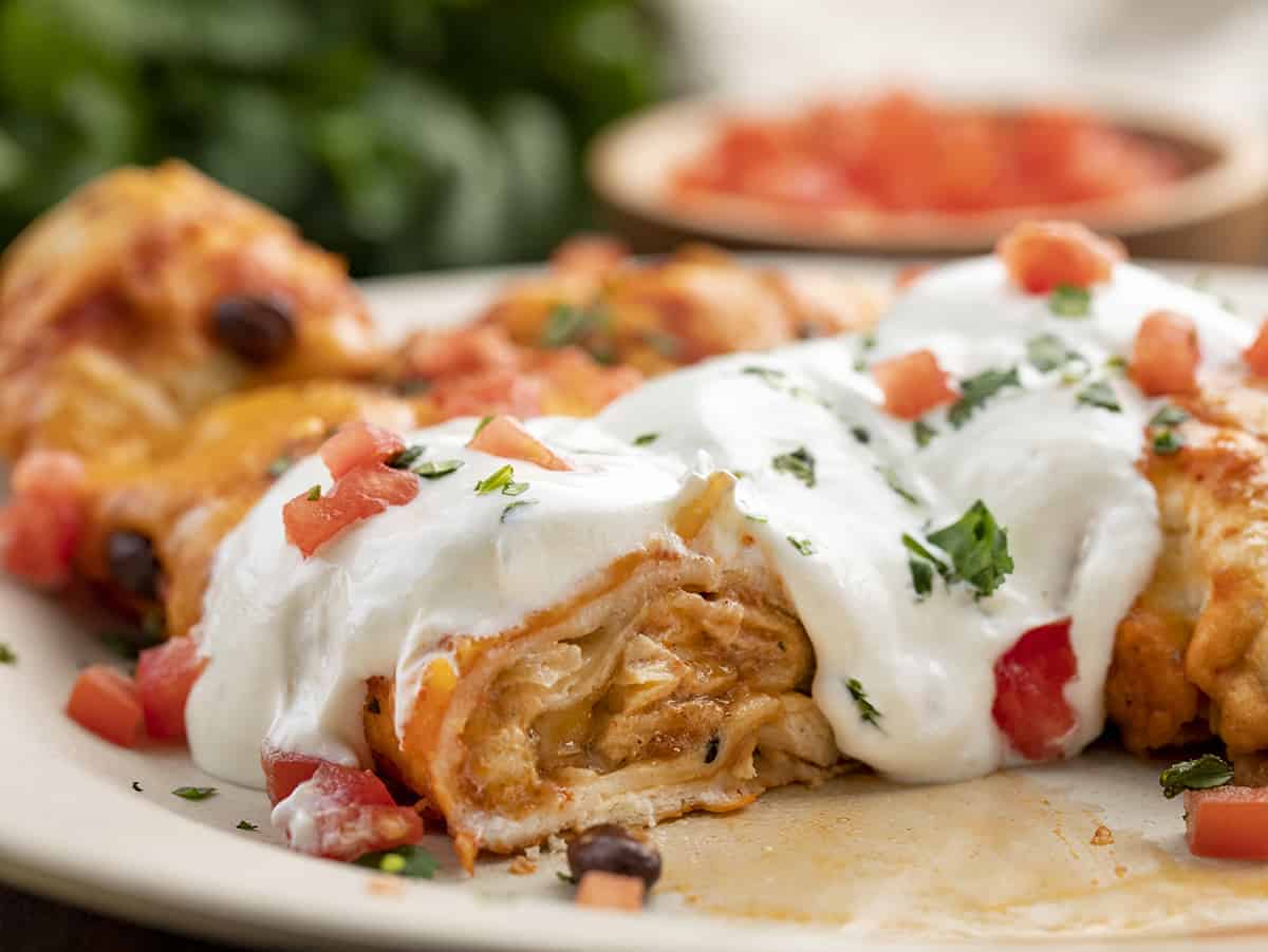 Cut into Chicken Enchilada on a Plate