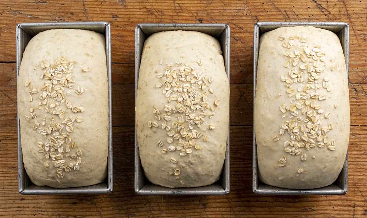 3 loaves of bread after they have risen in the pans and before they are baked
