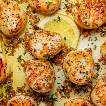 Close up of Scallops with Garlic Butter and Lemon.