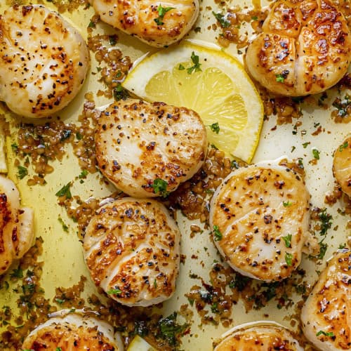 Scallops - I Am Homesteader