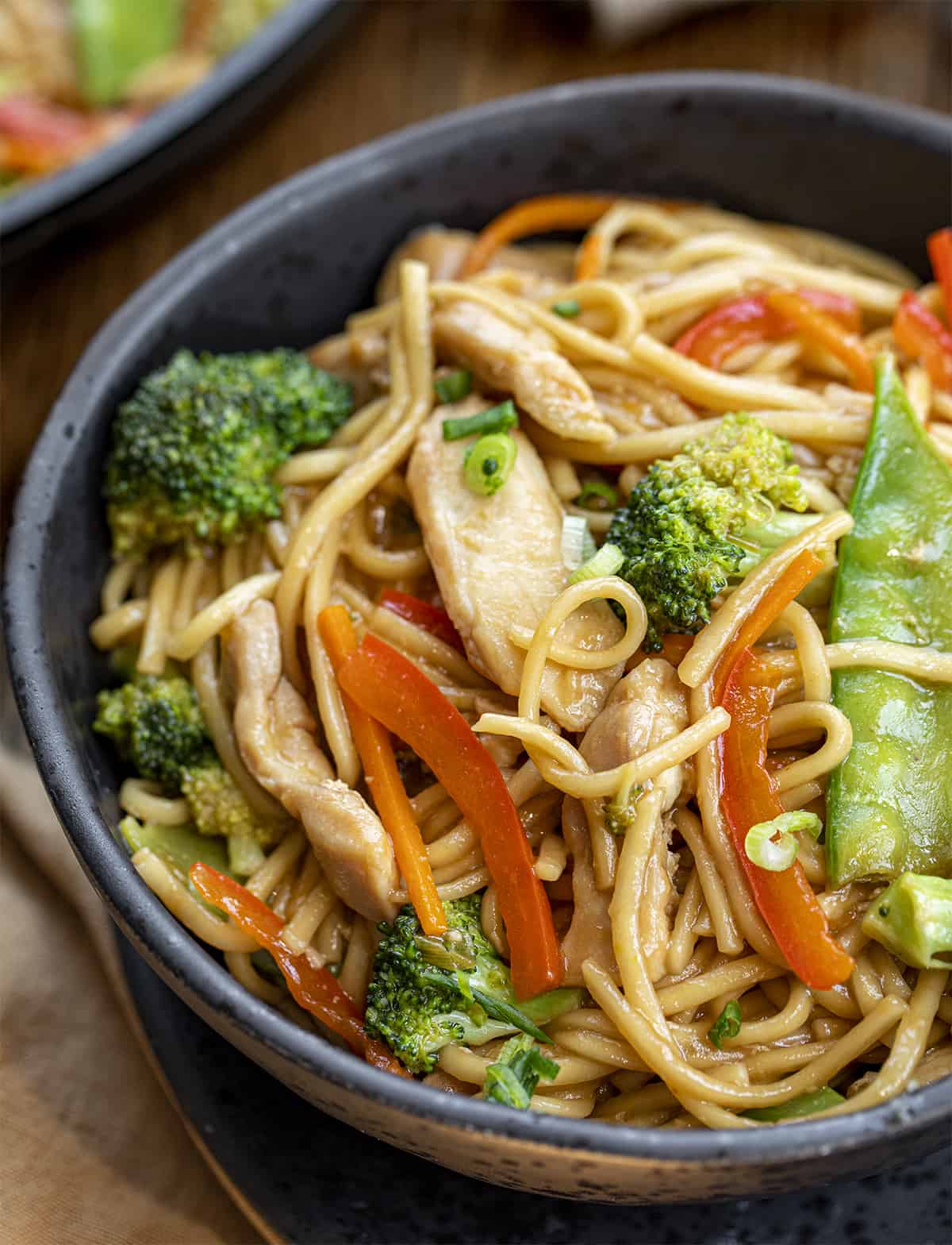 Close up of Chicken Lo Mein in a Bowl. Dinner, Supper, How to Make Lo Mein, Chicken Lo mein, Chicken thigh Lo Mein, American Lo Mein, Noodles, Asian Inspired Lo Mein, The Best Lo Mein, i am homesteader, iamhomesteader