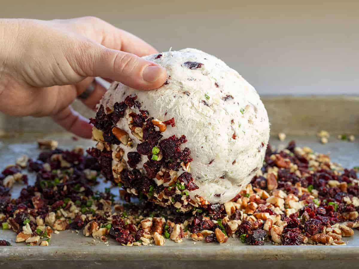 Rolling Cranberry Pecan Cheese Ball in the Outside Ingredients After it Has Been Chilled.