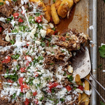 Loaded Shredded Beef {Birria} French Fries in a Sheet Pan Showing the Steak Fries and How Juicy it Is.
