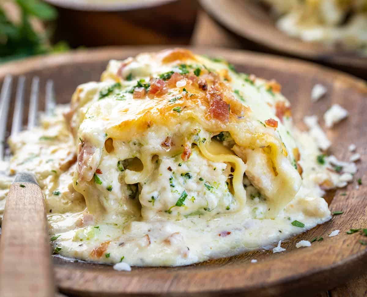 Plate with One Chicken and Broccoli Alfredo Roll-Up.