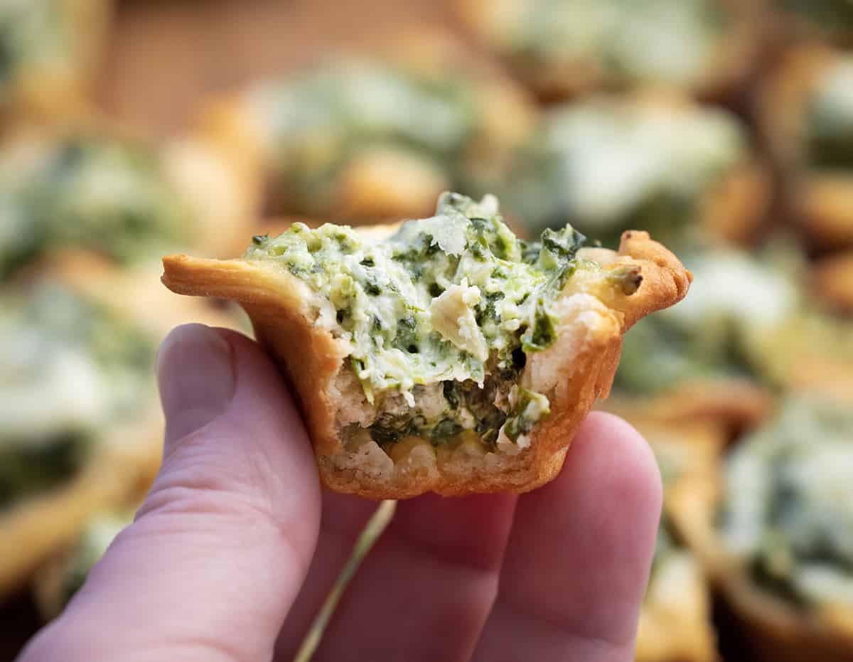Hand Holding Bit Into Spinach Dip Bite.
