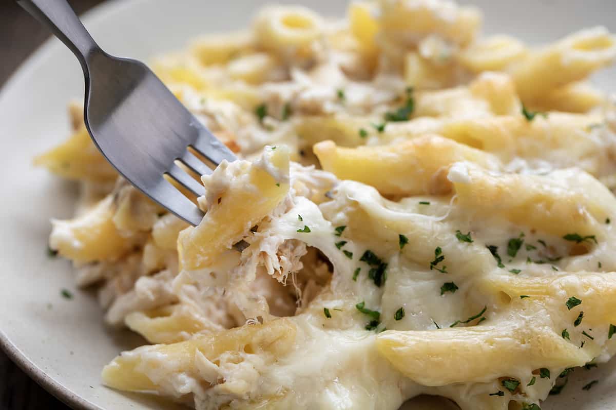 Fork taking a bite of Chicken Alfredo Bake from a Plate, close up.