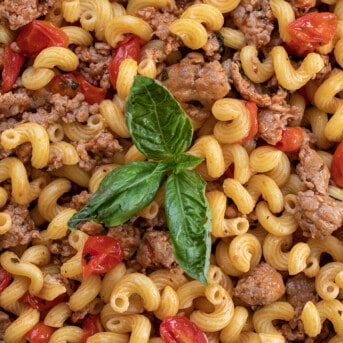 Close up of Tomato Basil Pasta with Italian Sausage with Fresh Basil Leaves in the Middle.