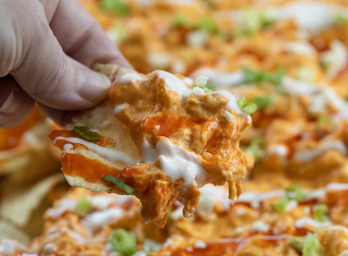 Hand Holding a Chip with Buffalo Chicken Toppings on it.