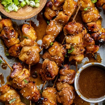 Teriyaki Chicken Skewers in a Pan with Teriyaki Sauce and Green Onions from Overhead.
