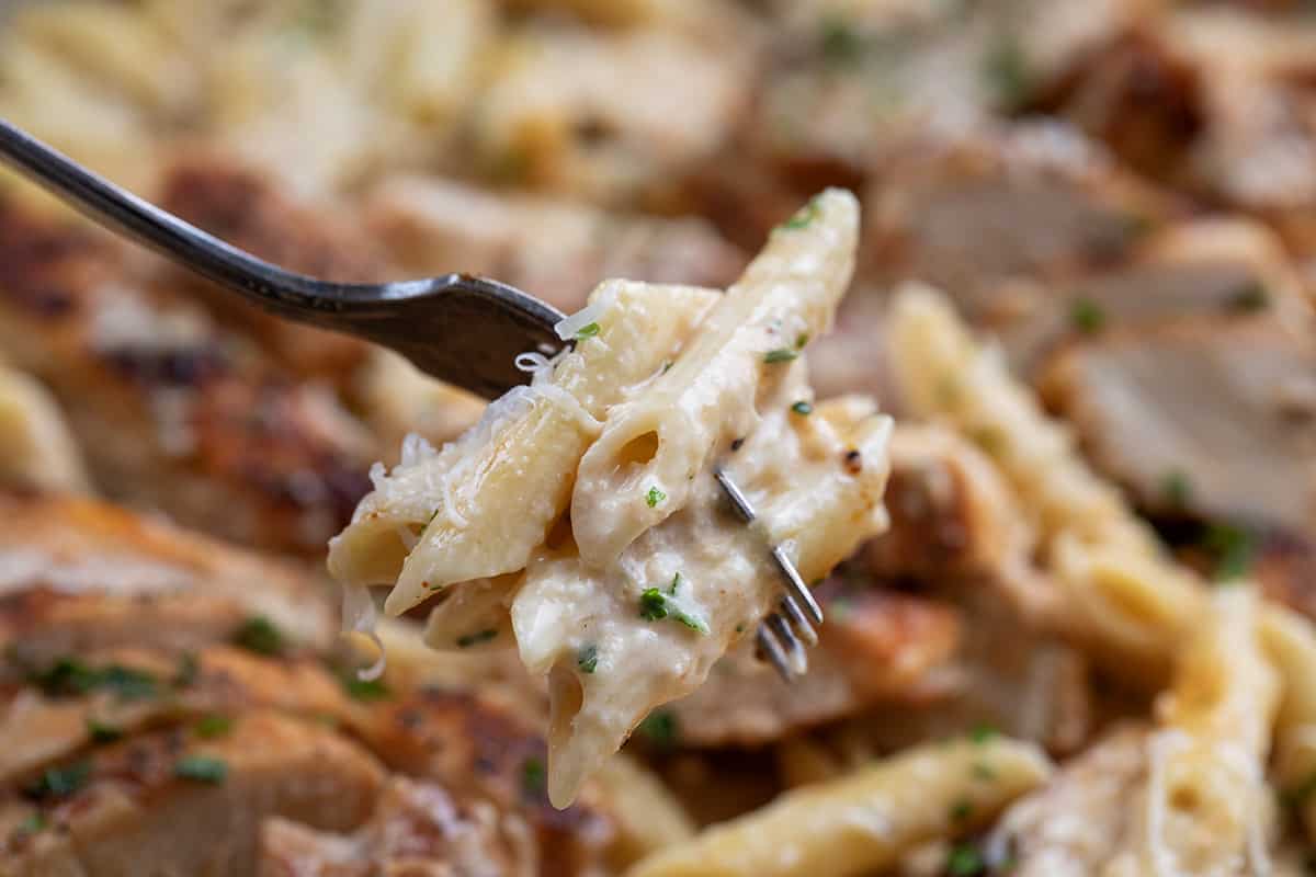 Creamy Pasta on a Fork for French Onion Chicken Pasta.