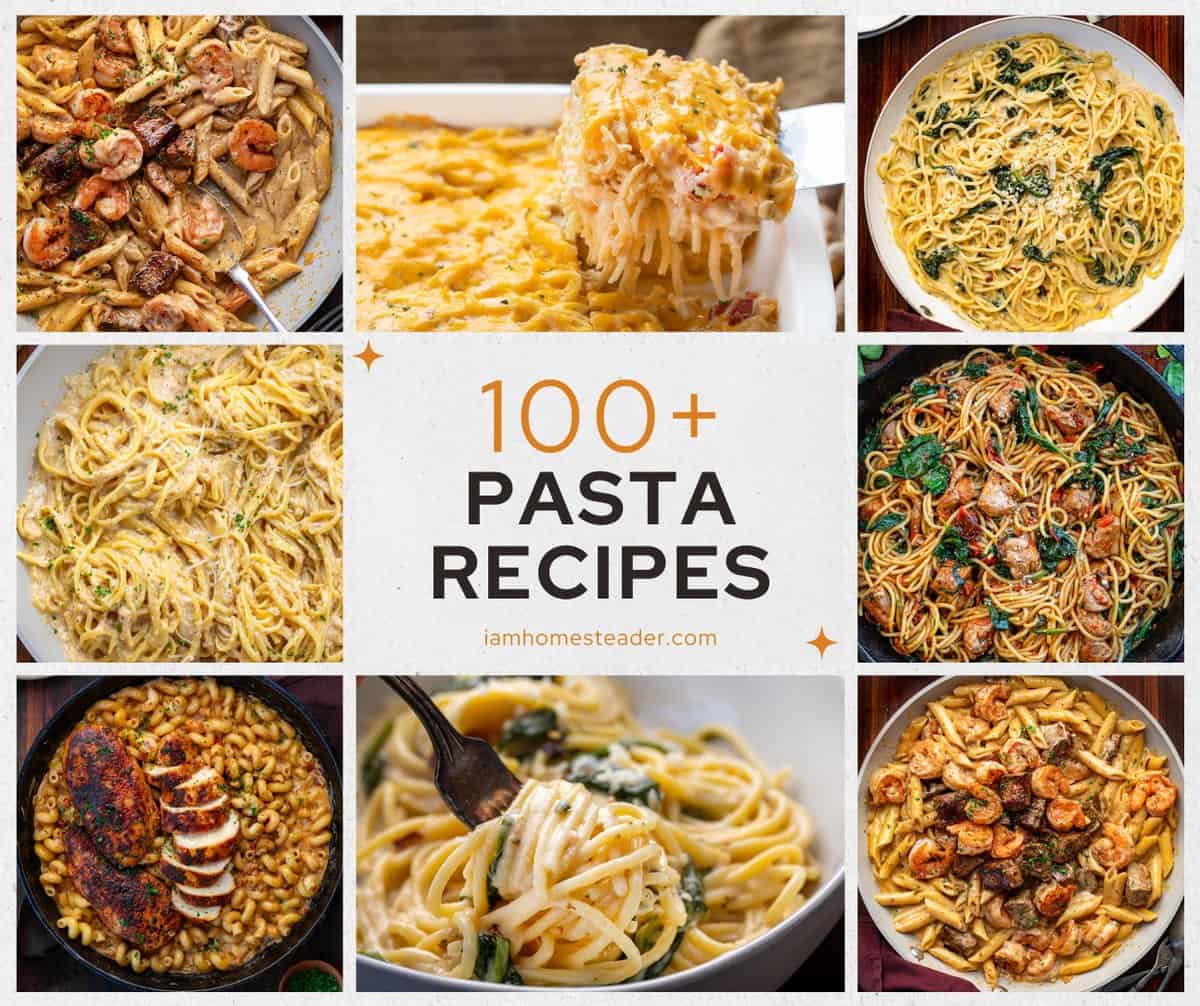 100+ Pasta Recipes - I Am Homesteader