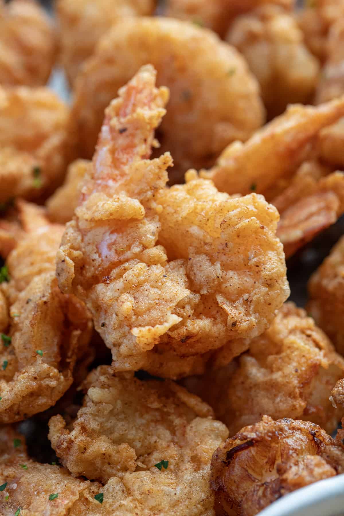 Close up of a piece of Fried Shrimp.
