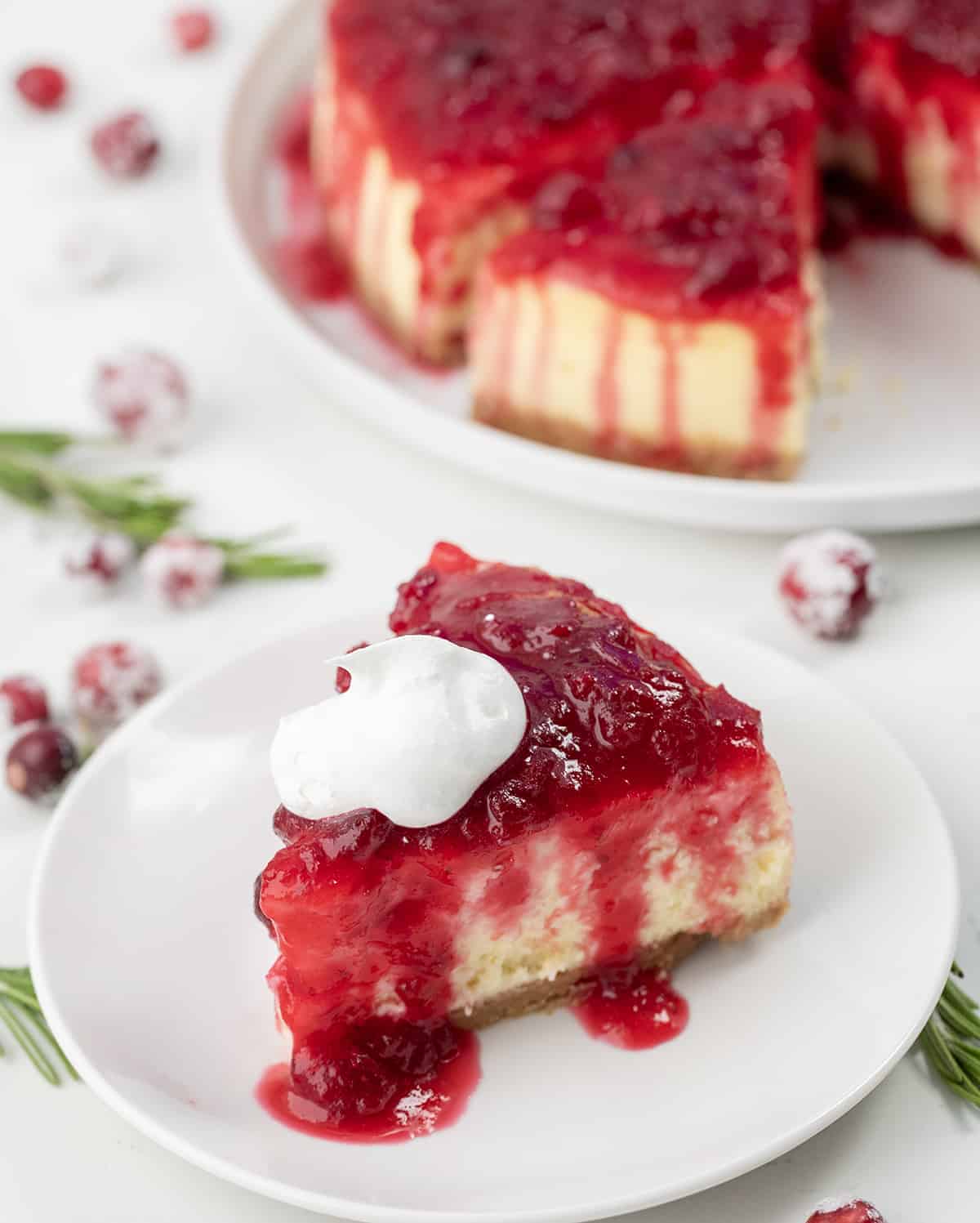 one piece of cranberry cheesecake on a white plate with whipped topping