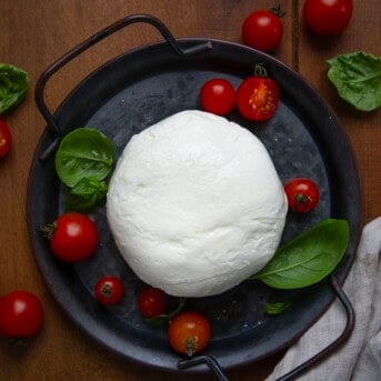 Tray of Homemade Mozzarella on a wooden table with tomatoes and basil from overhead.