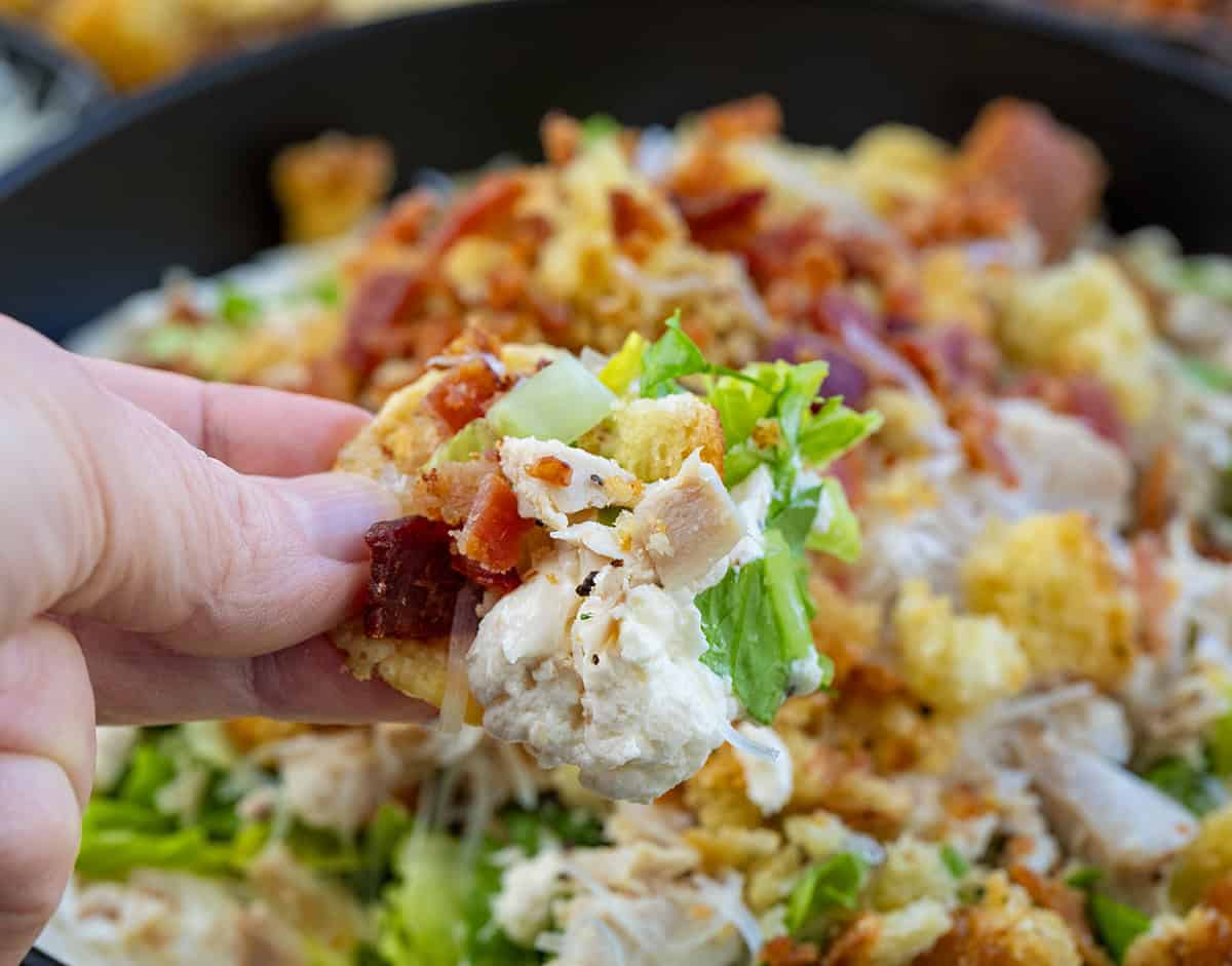 Hand holding a chip with Chicken Caesar Salad Dip on it.