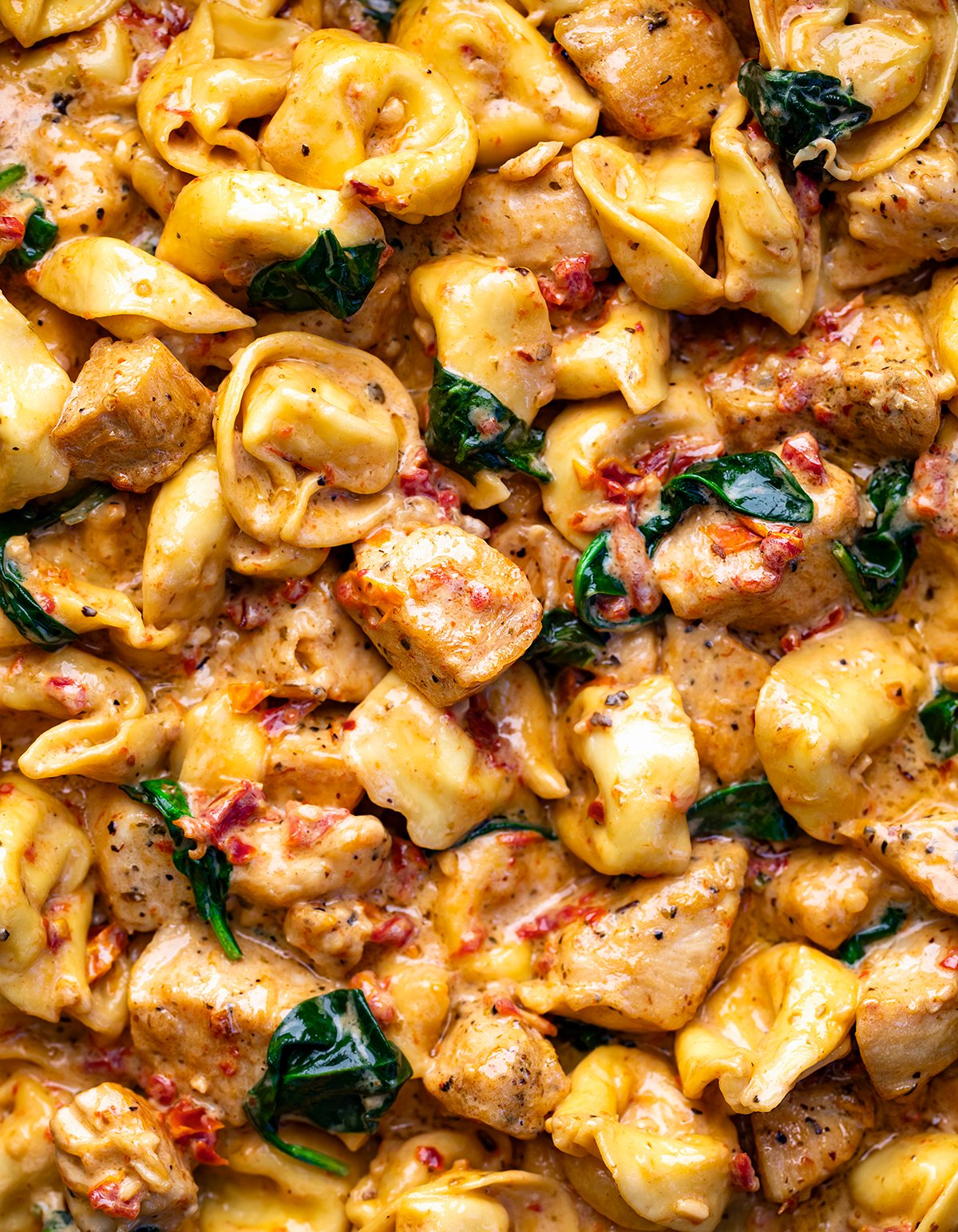 Close up of Tuscan Chicken Tortellini showing in detail the chicken and tortellini.