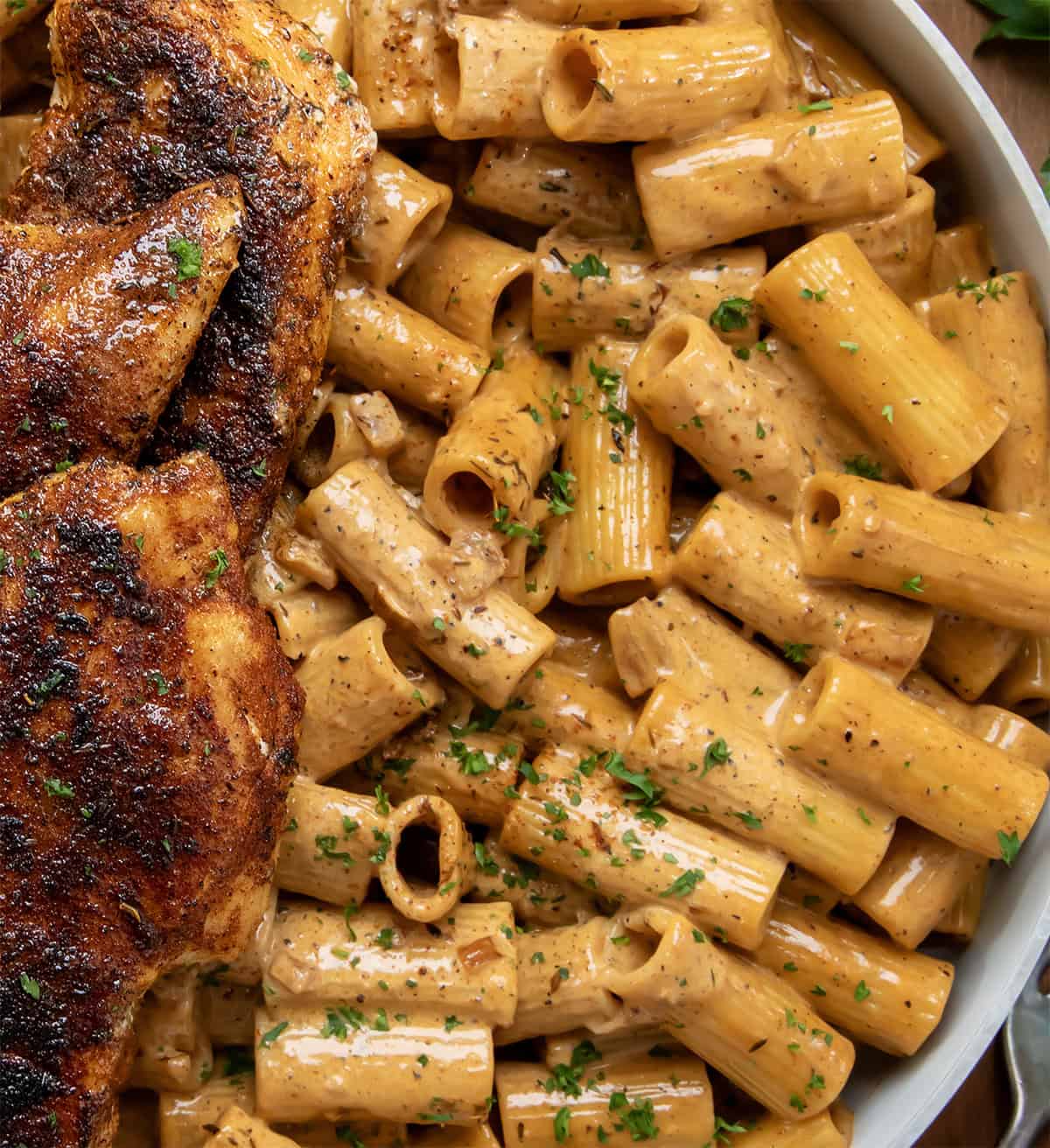 Make dinner special with Blackened Chicken Rigatoni, a flavorful dish that blends creamy pasta with deliciously blackened chicken! Very close up of the creamy sauce coating rigatoni noodles.