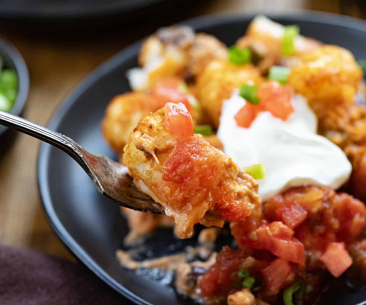 Forkful of Fiesta Chicken Tater Tot Casserole held above a black plate.