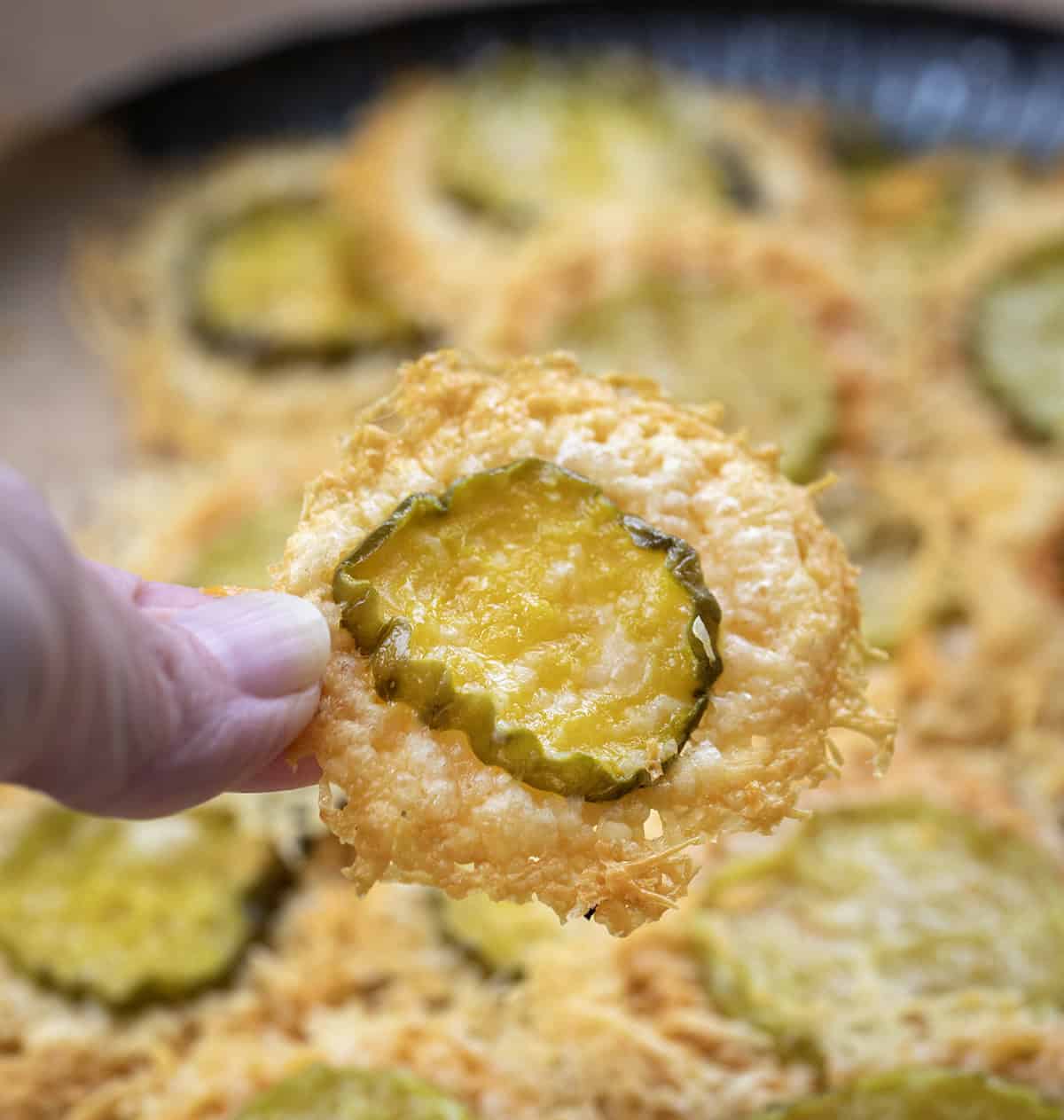 Hand holding a Parmesan Pickle Crisp.