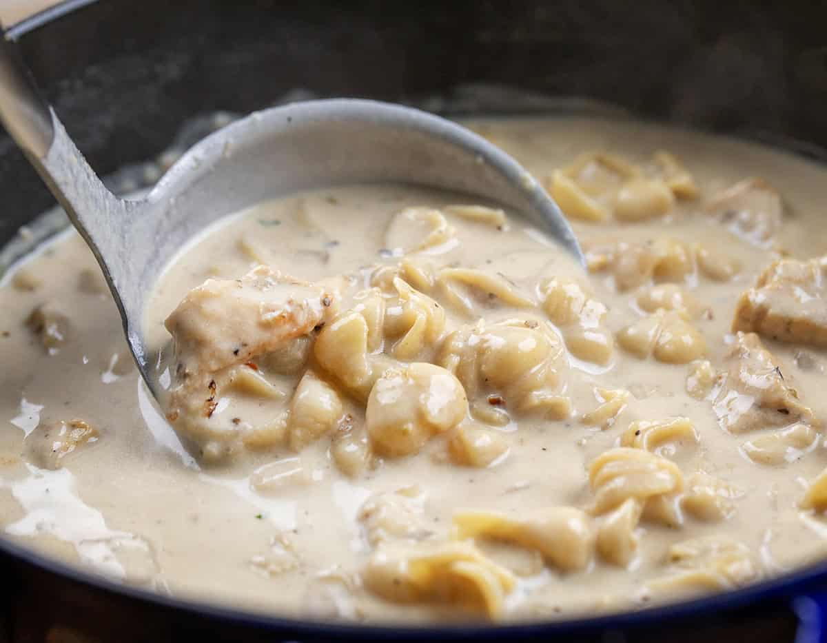 Ladle picking up some Garlic Parmesan Chicken Chowder from the pot.
