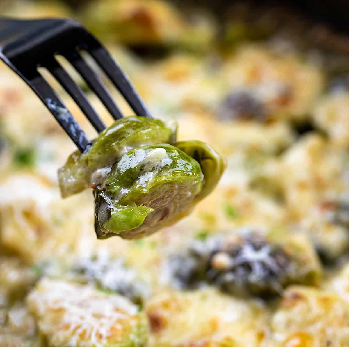 Fork with Brussels Sprouts Gratin on it held above the pan.